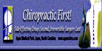 Chiropractic First! website banner 