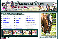 Gracewood Paso Fino Horse Farm