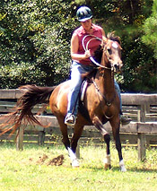 bridleless horseback riding