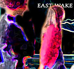 Students at East Wake High School of Integrated Technology
