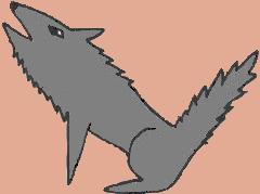 Arizona Howling Coyote