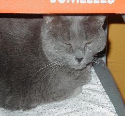 july 2001
