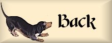 dogback.jpg (4560 bytes)