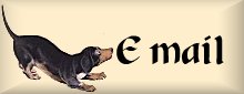 dogmail.jpg (4733 bytes)