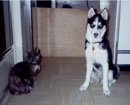 kitty_and_me.jpg (30814 bytes)