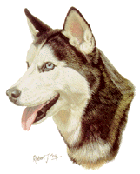 Siberian Huskies International Web Ring