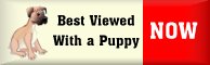 viewpup.jpg (4092 bytes)