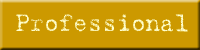 Professional