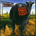 Dude Ranch