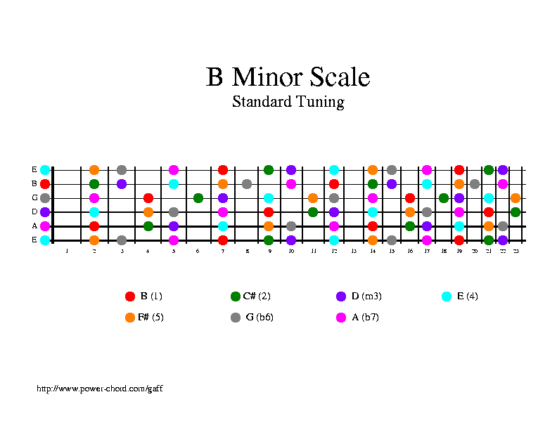 Custom Fretboard Figure