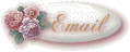 flueremail.gif (4693 bytes)