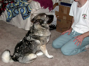Papa and dog