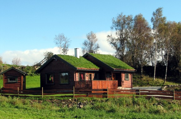 cabin1