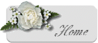 In Loving Memory