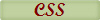 CSS
