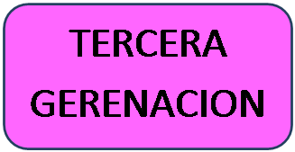 Rect�ngulo redondeado: TERCERA GERENACION