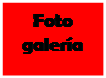 Cuadro de texto: Foto galer�a