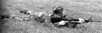 a graphic of the prone postion