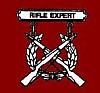 a graphic of Expert Marksmanship badge
