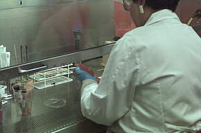 Clinical Microbiology