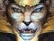 Evil-Looking Lynx