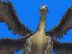 The Sky Dragon - Forward Slightly Dorsal View