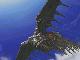 Time Devourer - Aerial Shot 2
