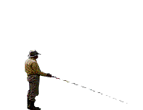fish.gif