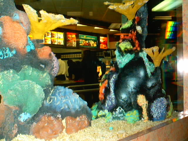 the fish tank, and a cop O.O