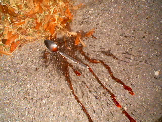 we spotted a dead spoon...