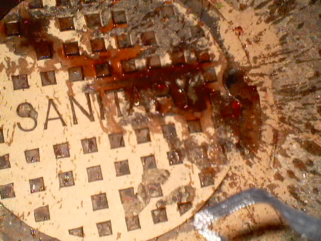 and a dead sewer lid O.o