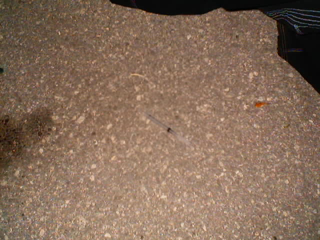 a needle? for crack! 