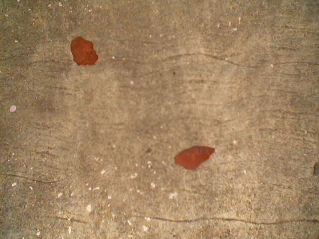 they followed my tracks to keep up