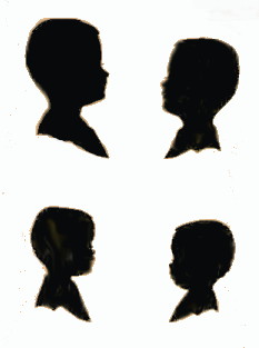 Click here to see a large image of our profiles !!!