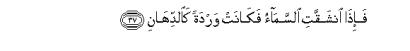 arabic