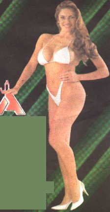 Modelo