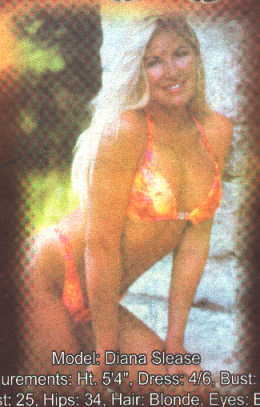 Modelo