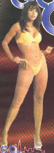 Modelo