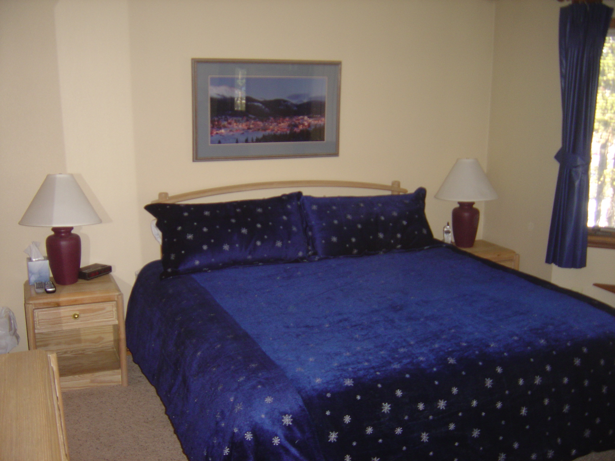 Master Bedroom - King Size Bed