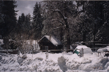 Cabin