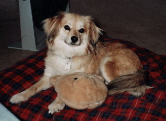 Cinnamon