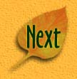 Next