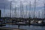 Ivan at Maroochydore Harbor