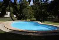 The pool
