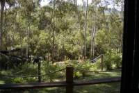Our view out the entrance/back porch area