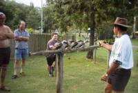 Ivan watches Jim put the birds through their tricks