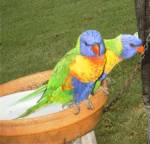 Hey, this is our dish