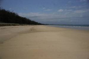 Standing on the beach, looking North