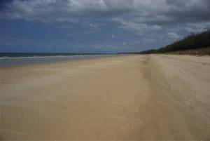 Standing on the beach, looking South.