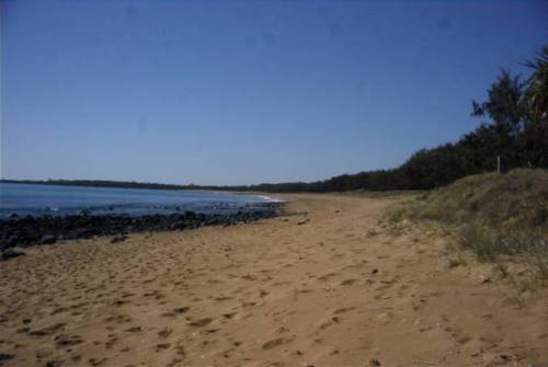 Mon Repos beach during the day.